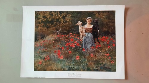 Stampa artistica caprile - stampa,