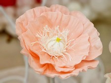 Anemone Gigante in Carta