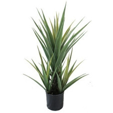 Pianta di Yucca Artificiale