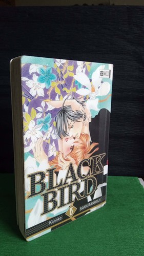 Black bird manga - libro, 15