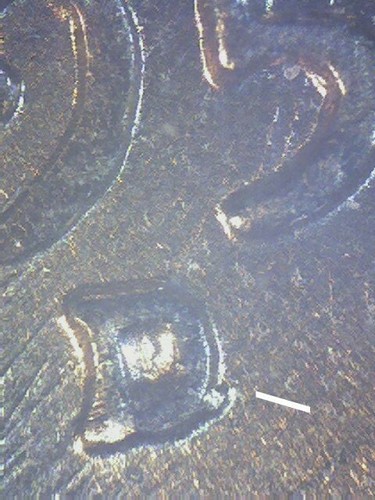 1957 lincoln cent raro rpm - 1957-d,