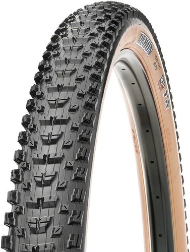Maxxis ardent exo - exo, tr