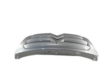 9653053777 MASCHERINA COFANO ANT CITROEN C3 (2007) 1.4 DIESEL 50KW 5P