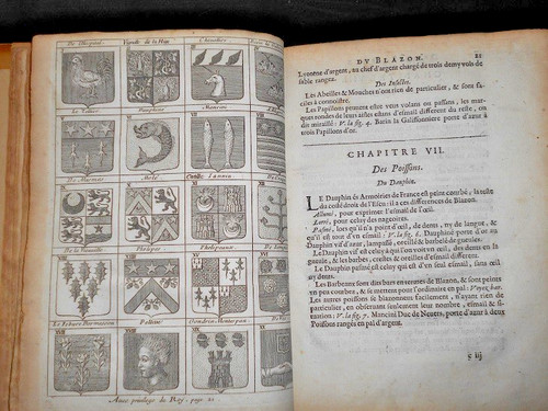 Raro libro araldica 1663 - raro,