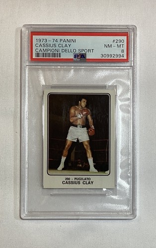 Cassius clay muhammad ali 1973 - cassius,