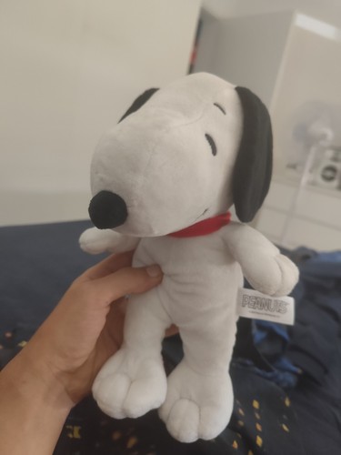 Snoopy peanuts coop - snoopy,