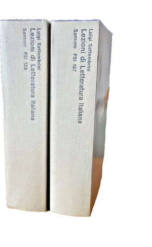 Lezioni letteratura - lezioni, di