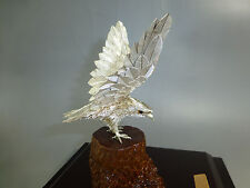 AQUILA UCCELLINO VOLANTE