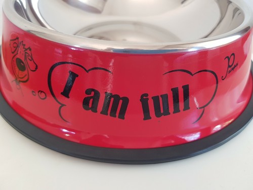 Ciotola cibo per cani gatti - ciotola, e