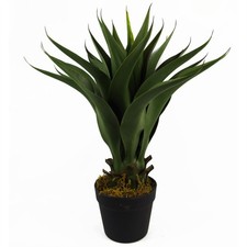 Pianta di Yucca Artificiale
