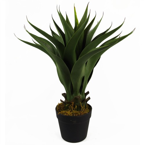 Pianta yucca artificiale - di,