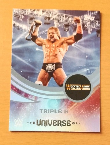 2025 topps universe - 2025, wwe