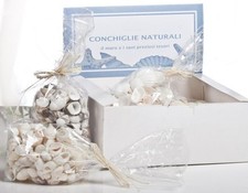 Conchiglie naturali