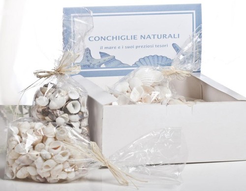 Conchiglie naturali
