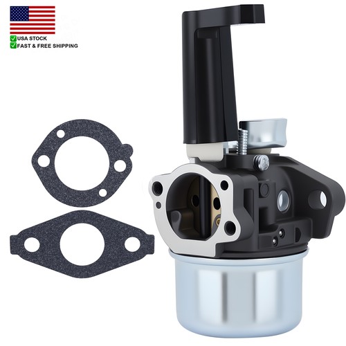 696065 carburatore motozappa - 696065,
