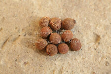 GIGLIO RAMPICANTE - GLORIOSA SUPERBA, 10 SEMI SELEZIONATI