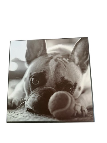 Bulldog francese cucciolo arte