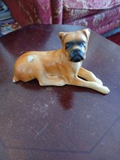 VTG Laying Down Boxer Dog
