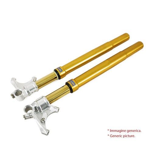 Ohlins forcella anteriore - forcella,