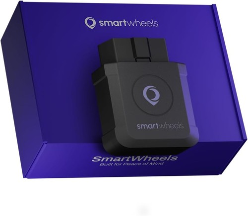Smartwheels localizzatore gps - localizzatore,