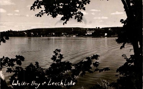 Cartolina rppc walker - rppc, bay