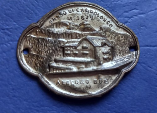 Placca distintivo alpenstock - distintivo,