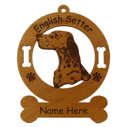 Setter inglese testa razza