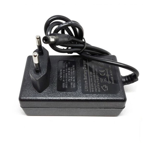 Alimentatore 21v ac - 1a,