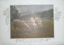 ARTE_PITTURA_'800-'900_BELLA VEDUTA PAESAGGISTICA PASTORALE_ZARDO_PECORE_PASCOLO