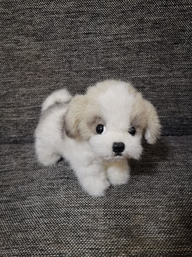 Peluche cane shih - peluche, tzu
