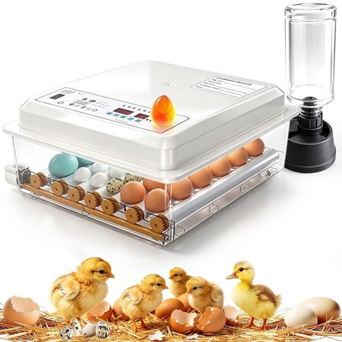 Incubatrice automatica fino - automatica, a