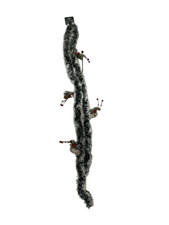 Ghirlanda Natalizia Decorativa