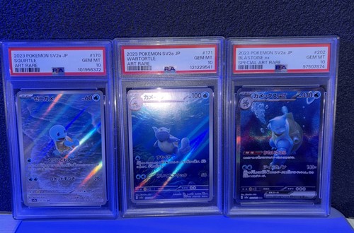 Pokemon 151 squirtle - pokemon,