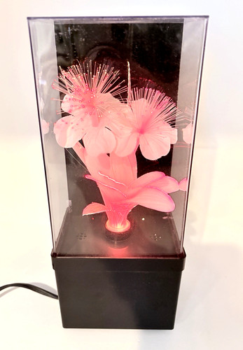 Lampada luce espositore fiori