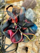 Borsa/borsa in tulle per