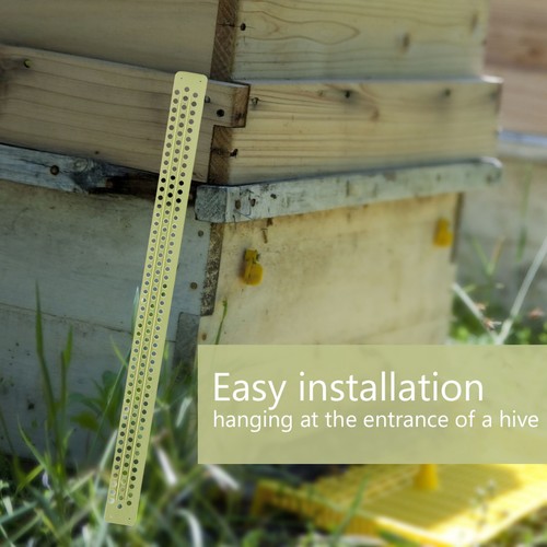 10pcs bee beehive plastic - beehive,