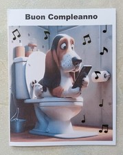 🐬 Compleanno Maschio