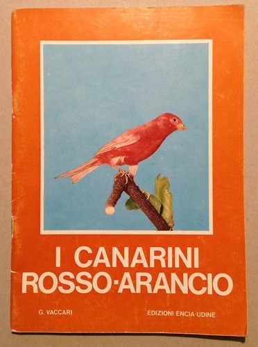 Vaccari canarini rosso - canarini,
