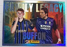 Calciatori Panini Family