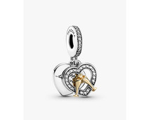 Pandora 799322c01 Charm