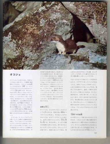 E28771972 the great - e28771972,