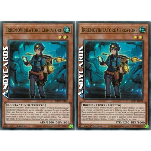 Irremovibilatore cercatore - irremovibilatore,