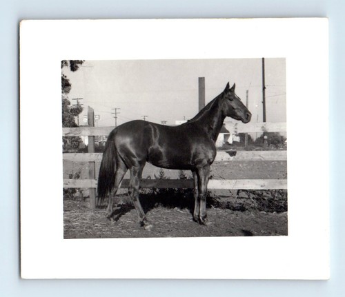 Vecchia foto epoca chiudi - foto,