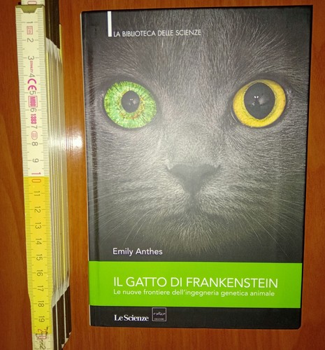 Anthes gatto di - anthes,,
