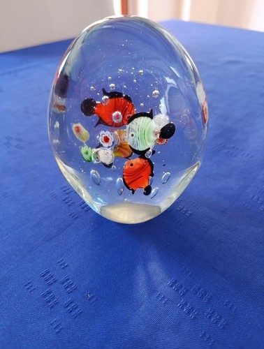 Prezioso vetro murano acquario - murano,