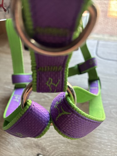 Lupinepet hampton viola - hampton,