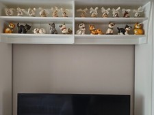 Thun gatti 2022 collezione completa