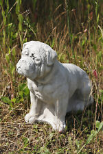 Boxer Cane Animale Resistente