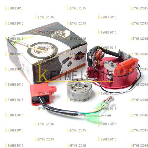Rotore statore magneto racing
