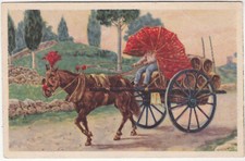 ROMA - CARRO DA VINO - COSTUMI ROMANI -32754-